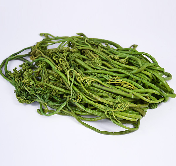绿蕨菜
